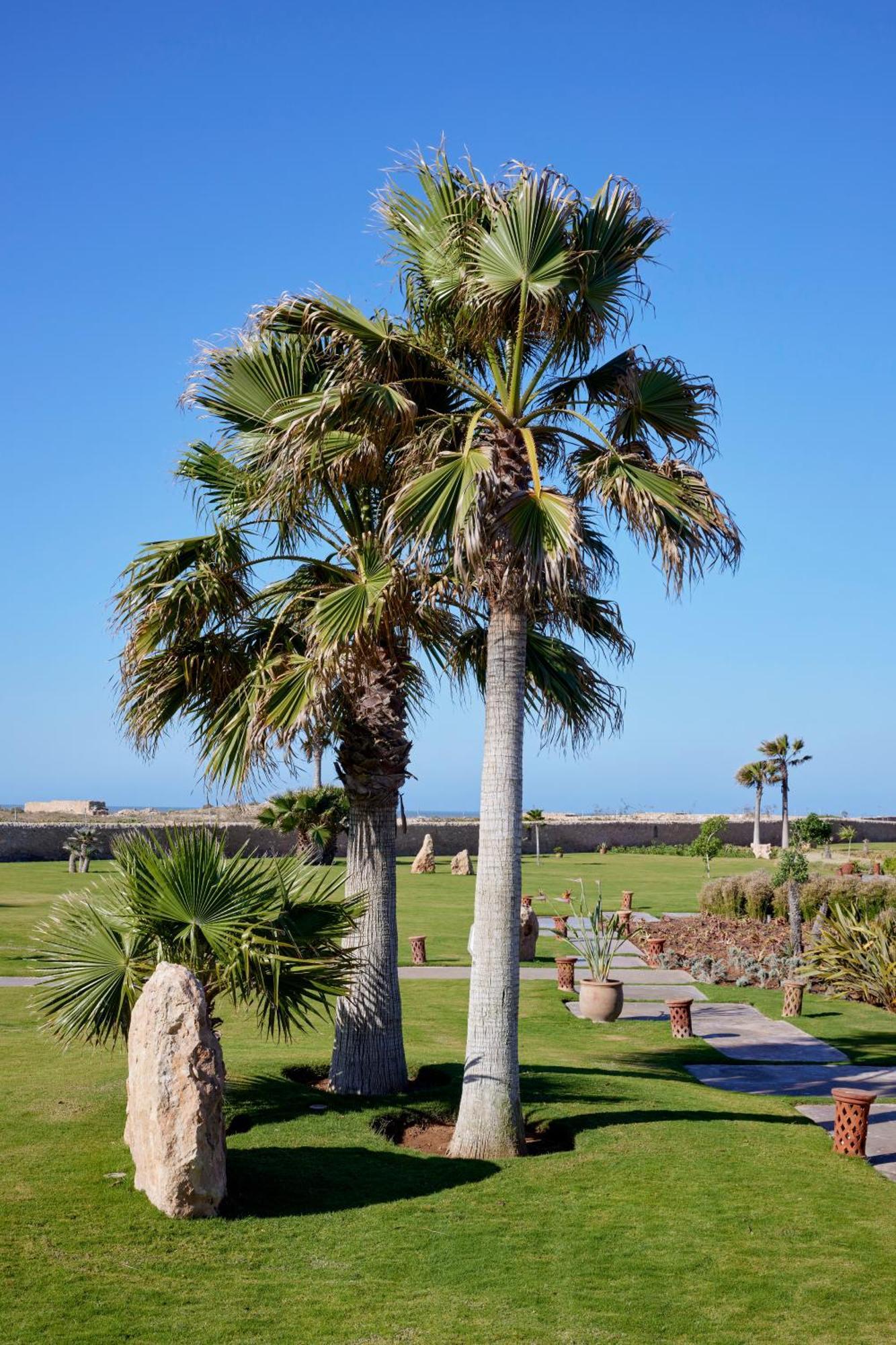 Baberrih Hotel Hospitality Palaces & Resorts Essaouira Exterior foto